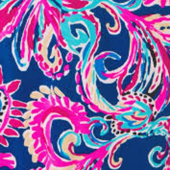 NWOT Lilly Pulitzer Emery Long Sleeve Dress Multi Flitting About XXL - Picture 4 of 6